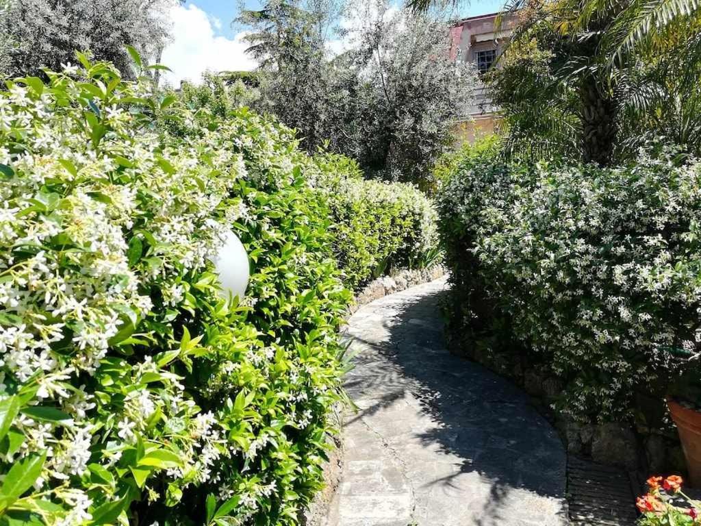 Casa Dinky Attico Con Terrazza Vista Mare Lägenhet Formia Exteriör bild